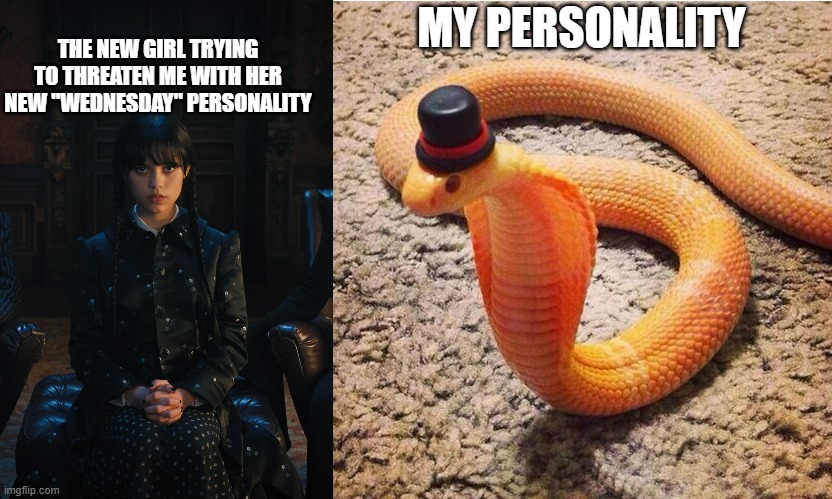 mem | MY PERSONALITY; THE NEW GIRL TRYING TO THREATEN ME WITH HER NEW "WEDNESDAY" PERSONALITY | image tagged in dapper snek | made w/ Imgflip meme maker