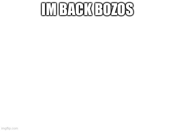 Blank White Template | IM BACK BOZOS | image tagged in blank white template | made w/ Imgflip meme maker