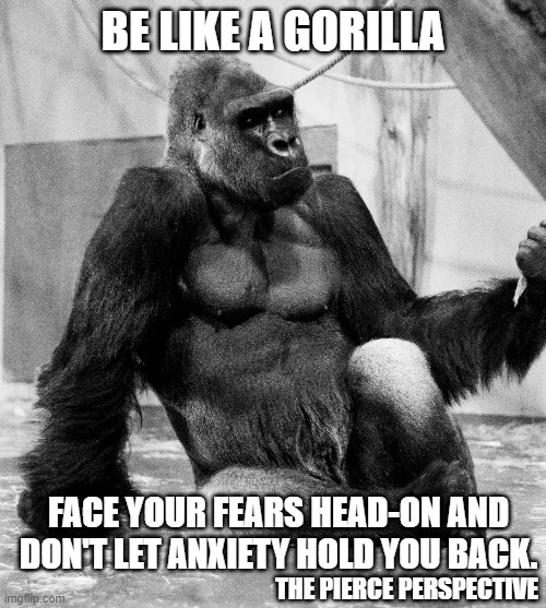 The Pierce Perspective - Be like a gorilla - face your fears head-on and don't let anxiety hold you back. | BE LIKE A GORILLA; THE PIERCE PERSPECTIVE; FACE YOUR FEARS HEAD-ON AND DON'T LET ANXIETY HOLD YOU BACK. | image tagged in mental health,podcast,gorilla | made w/ Imgflip meme maker