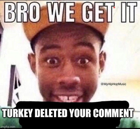 BRO WE GET IT YOU'RE GAY | TURKEY DELETED YOUR COMMENT | image tagged in bro we get it you're gay | made w/ Imgflip meme maker