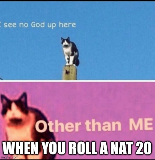 I see no god up here other than me | WHEN YOU ROLL A NAT 20 | image tagged in i see no god up here other than me | made w/ Imgflip meme maker