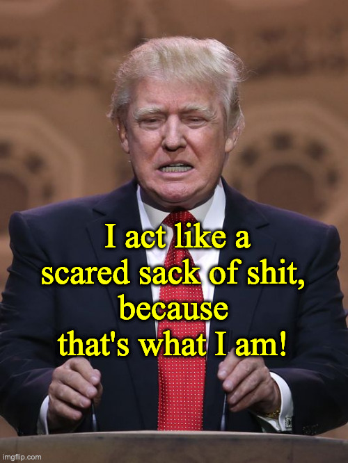 Donald Trump | I act like a scared sack of shit, because that's what I am! | image tagged in donald trump | made w/ Imgflip meme maker