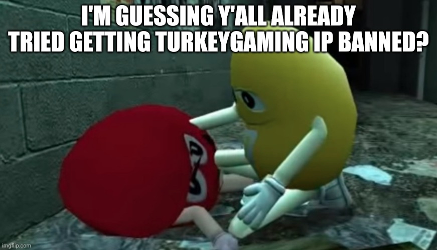 you good bro | I'M GUESSING Y'ALL ALREADY TRIED GETTING TURKEYGAMING IP BANNED? | image tagged in you good bro | made w/ Imgflip meme maker