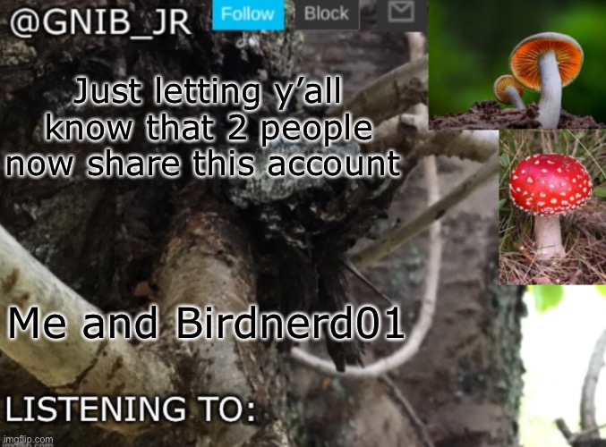 You may see stuff on my account from bird nerd | Just letting y’all know that 2 people now share this account; Me and Birdnerd01 | image tagged in gnib_jr's new temp | made w/ Imgflip meme maker