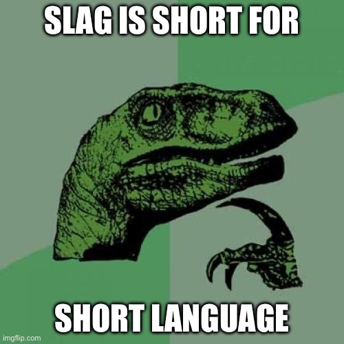 Philosoraptor | SLAG IS SHORT FOR; SHORT LANGUAGE | image tagged in memes,philosoraptor | made w/ Imgflip meme maker