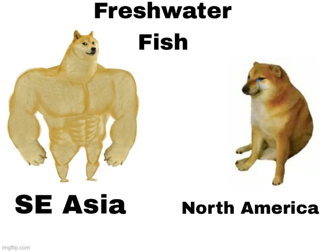 image tagged in memes,funny | made w/ Imgflip meme maker