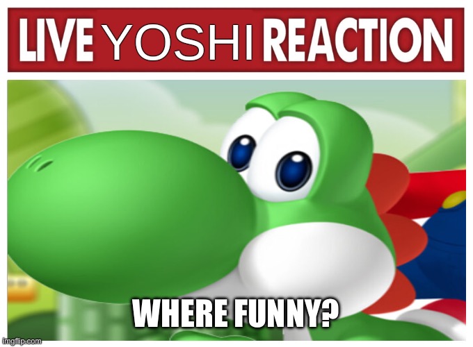 Live Yoshi Reaction | WHERE FUNNY? | image tagged in live yoshi reaction | made w/ Imgflip meme maker