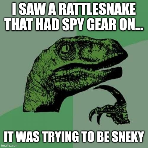 Sneky spy snek | I SAW A RATTLESNAKE THAT HAD SPY GEAR ON... IT WAS TRYING TO BE SNEKY | image tagged in memes,philosoraptor | made w/ Imgflip meme maker