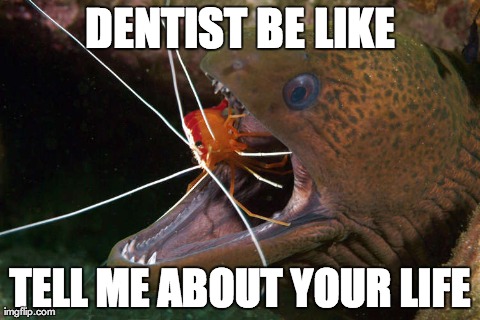 DENTIST BE LIKE TELL ME ABOUT YOUR LIFE | image tagged in AdviceAnimals | made w/ Imgflip meme maker