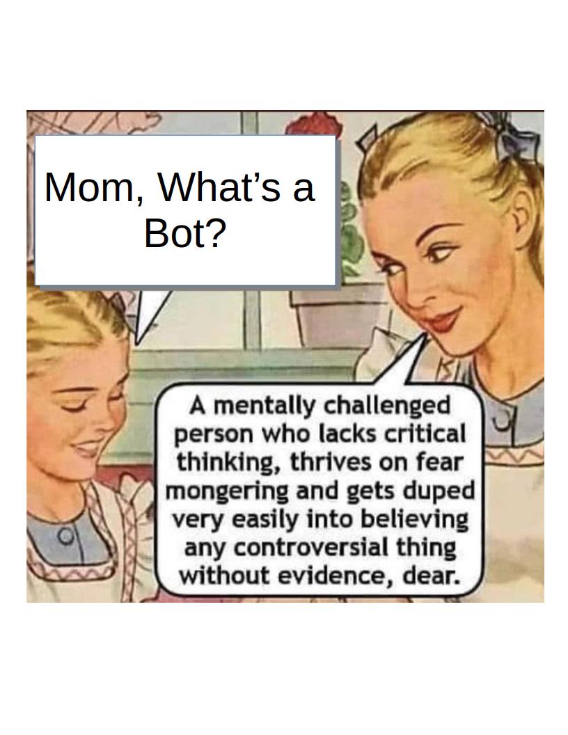 High Quality Mom, what's a bot? Blank Meme Template