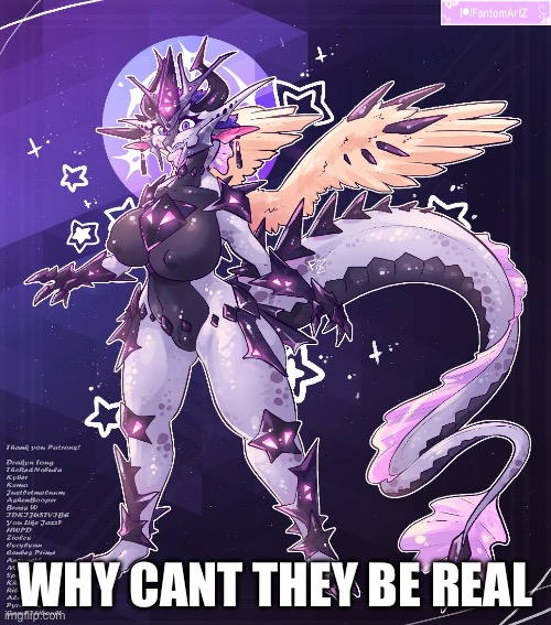 Why cant they be real 3 by Fanton artZ | WHY CANT THEY BE REAL | image tagged in female dragonets | made w/ Imgflip meme maker