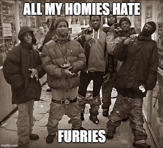 we do | ALL MY HOMIES HATE; FURRIES | image tagged in all my homies hate,anti furry | made w/ Imgflip meme maker