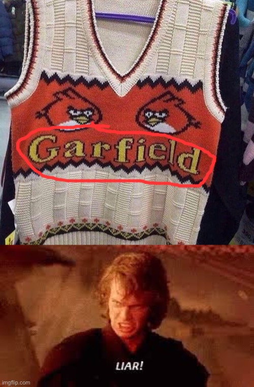 That's not Garfield! | image tagged in anakin liar,you had one job,memes,funny | made w/ Imgflip meme maker