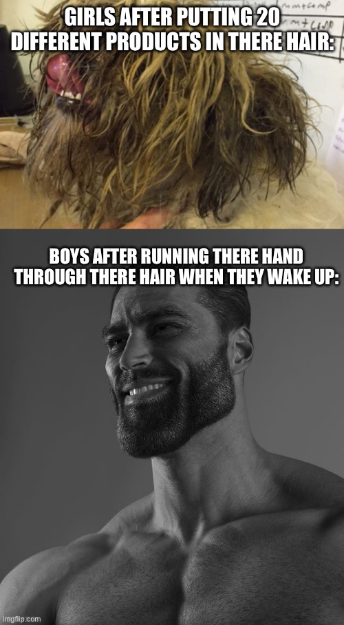 Just sayin | GIRLS AFTER PUTTING 20 DIFFERENT PRODUCTS IN THERE HAIR:; BOYS AFTER RUNNING THERE HAND THROUGH THERE HAIR WHEN THEY WAKE UP: | image tagged in messy hair,giga chad | made w/ Imgflip meme maker