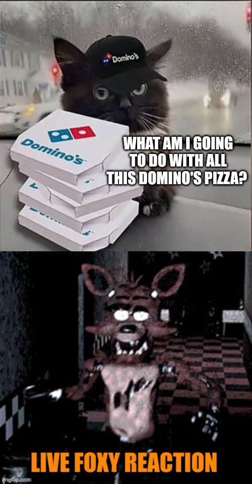 Important fox memes | WHAT AM I GOING TO DO WITH ALL THIS DOMINO'S PIZZA? | image tagged in dominos cat,fox,memes | made w/ Imgflip meme maker