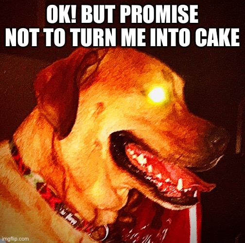 I aint spamming, I just do this every now and then | OK! BUT PROMISE NOT TO TURN ME INTO CAKE | image tagged in then perish pupper | made w/ Imgflip meme maker