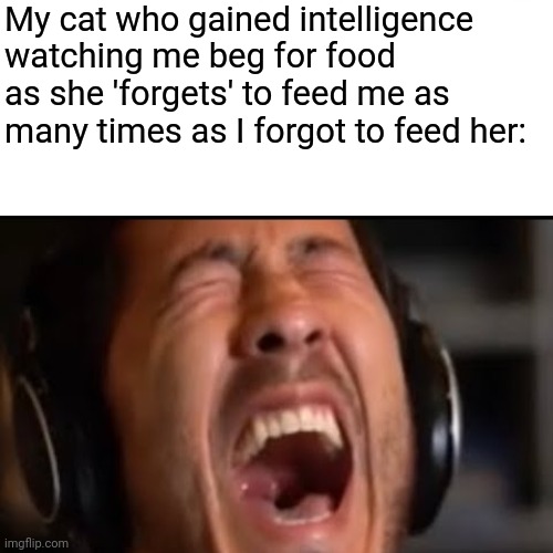 hehe so funny right | My cat who gained intelligence watching me beg for food as she 'forgets' to feed me as many times as I forgot to feed her: | image tagged in cat,animals,food | made w/ Imgflip meme maker