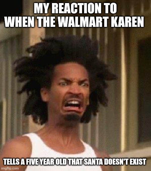 Kurse you Santa no believing Walmart Karen | MY REACTION TO WHEN THE WALMART KAREN; TELLS A FIVE YEAR OLD THAT SANTA DOESN'T EXIST | image tagged in disgusted face | made w/ Imgflip meme maker