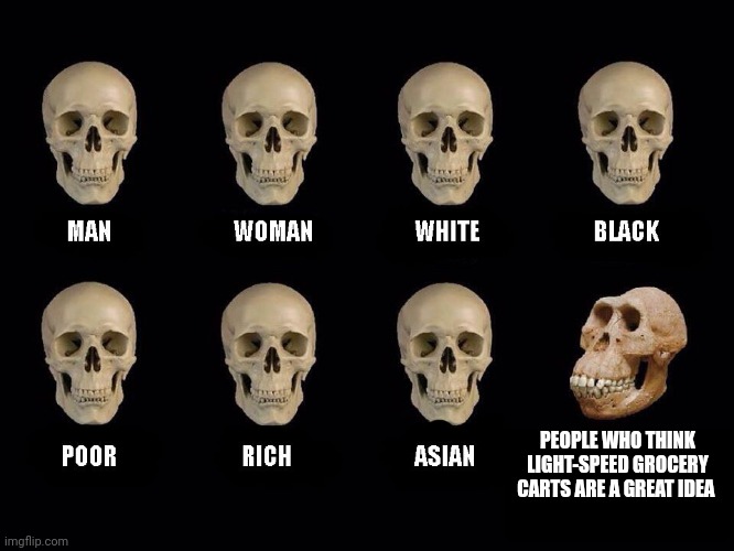 Light speed grocery carts!!!! | PEOPLE WHO THINK LIGHT-SPEED GROCERY CARTS ARE A GREAT IDEA | image tagged in empty skulls of truth | made w/ Imgflip meme maker