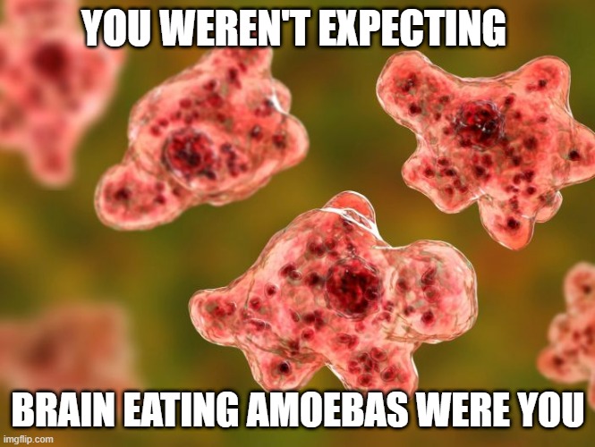 brain eating amoebas | YOU WEREN'T EXPECTING BRAIN EATING AMOEBAS WERE YOU | image tagged in brain eating amoebas | made w/ Imgflip meme maker