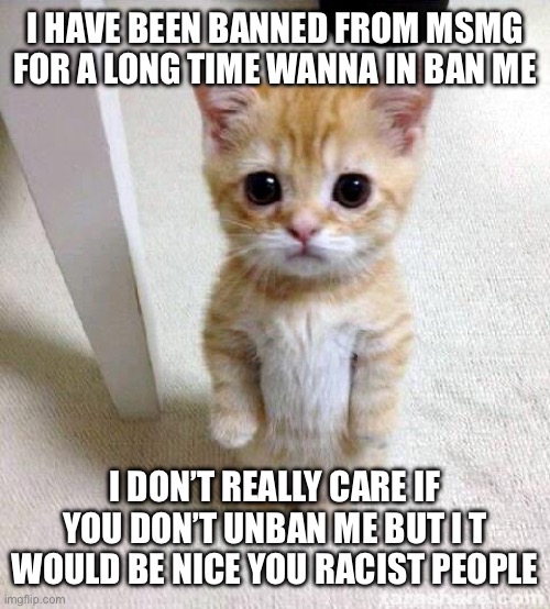 Please? | I HAVE BEEN BANNED FROM MSMG FOR A LONG TIME WANNA IN BAN ME; I DON’T REALLY CARE IF YOU DON’T UNBAN ME BUT I T WOULD BE NICE YOU RACIST PEOPLE | image tagged in memes,cute cat,msmg,pls,funy,mems | made w/ Imgflip meme maker