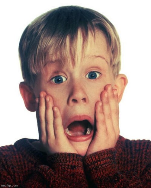 Home Alone Scream | image tagged in home alone scream | made w/ Imgflip meme maker