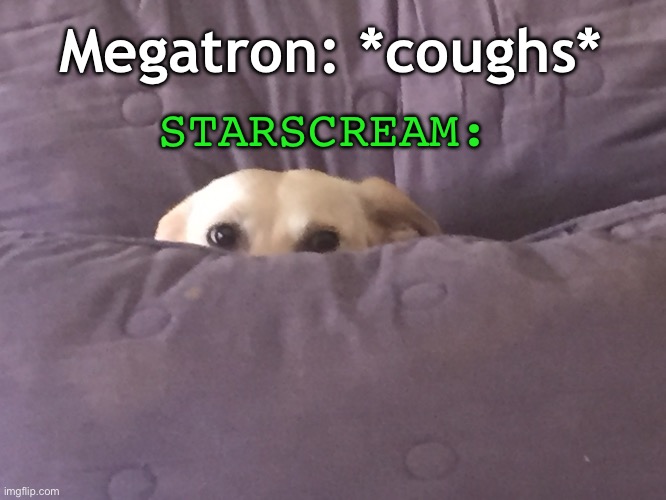 “Megatron has COVID looks like I’m the new leader!” | Megatron: *coughs*; STARSCREAM: | image tagged in peek a boo,transformers,megatron,starscream,dog | made w/ Imgflip meme maker