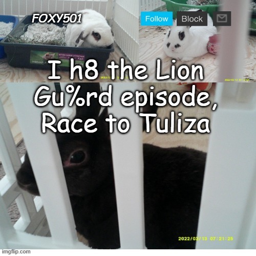 We do not care. | I h8 the Lion Gu%rd episode, Race to Tuliza | image tagged in foxy501 announcement template | made w/ Imgflip meme maker