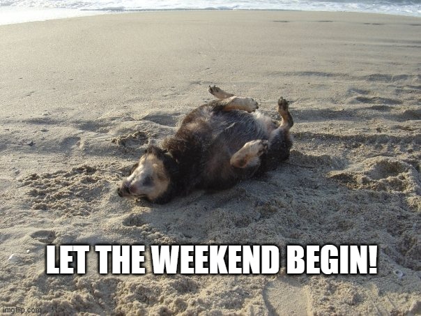 Let the weekend begin | LET THE WEEKEND BEGIN! | image tagged in finally friday | made w/ Imgflip meme maker