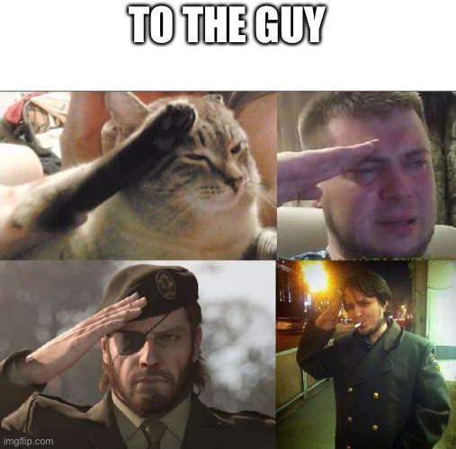 Ozon's Salute | TO THE GUY | image tagged in ozon's salute | made w/ Imgflip meme maker