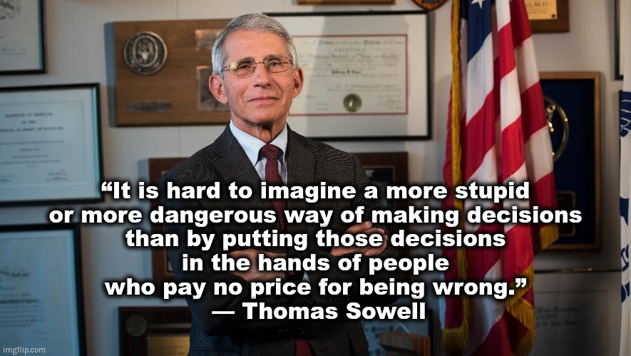 Stupid and dangerous way of making decisions | “It is hard to imagine a more stupid
or more dangerous way of making decisions
than by putting those decisions
in the hands of people
who pay no price for being wrong.”
 — Thomas Sowell | image tagged in fauci,covid,sowell,criminals | made w/ Imgflip meme maker