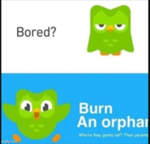 I mean I would do this for fun | image tagged in dark humor,duolingo | made w/ Imgflip meme maker