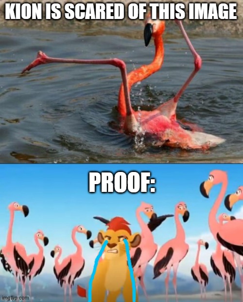KION IS SCARED OF THIS IMAGE; PROOF: | image tagged in flamingo fail,garbage | made w/ Imgflip meme maker