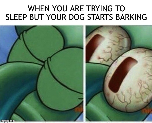 Now i have to take him outside | WHEN YOU ARE TRYING TO SLEEP BUT YOUR DOG STARTS BARKING | image tagged in squidward,dogs,dog memes,sleep,sleeping,memes | made w/ Imgflip meme maker