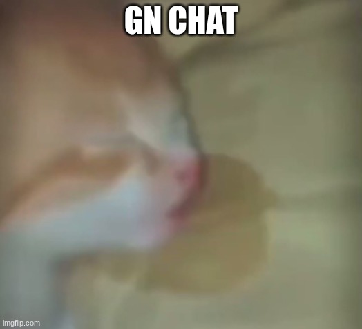 the sleeper | GN CHAT | image tagged in the sleeper | made w/ Imgflip meme maker