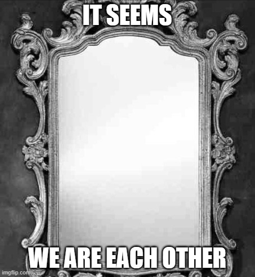 Mirror | IT SEEMS WE ARE EACH OTHER | image tagged in mirror | made w/ Imgflip meme maker