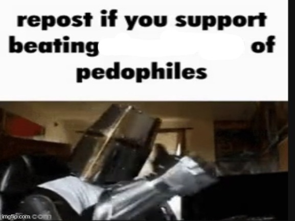 Bro? | image tagged in repost if you support beating the shit out of pedophiles | made w/ Imgflip meme maker
