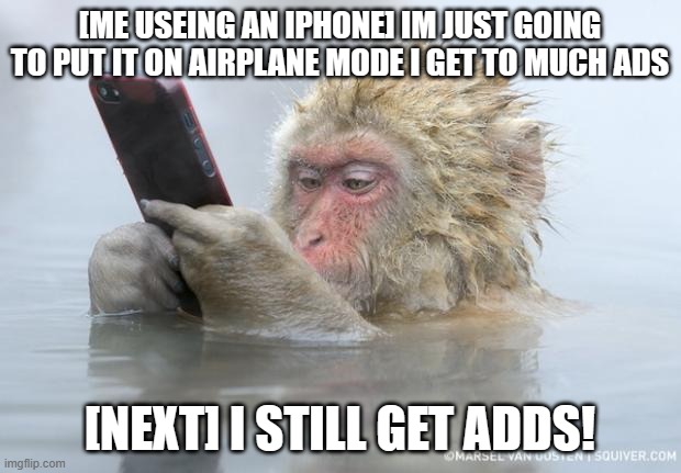 monkey mobile phone | [ME USEING AN IPHONE] IM JUST GOING TO PUT IT ON AIRPLANE MODE I GET TO MUCH ADS; [NEXT] I STILL GET ADDS! | image tagged in monkey mobile phone | made w/ Imgflip meme maker