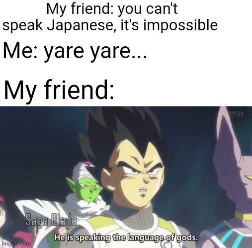 My Finnish friends though i couldn't speak Japanese | My friend: you can't speak Japanese, it's impossible; Me: yare yare... My friend: | image tagged in he is speaking the language of the gods | made w/ Imgflip meme maker