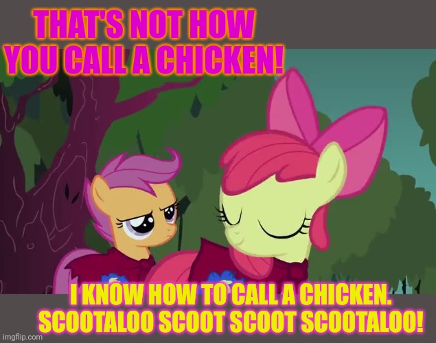 THAT'S NOT HOW YOU CALL A CHICKEN! I KNOW HOW TO CALL A CHICKEN. 
SCOOTALOO SCOOT SCOOT SCOOTALOO! | made w/ Imgflip meme maker