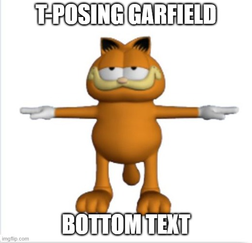 Welcome to the Cats stream! | T-POSING GARFIELD; BOTTOM TEXT | image tagged in garfield t-pose | made w/ Imgflip meme maker