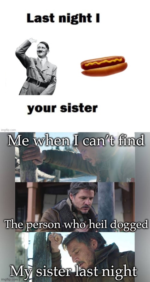Hot dog Hitler | Me when I can’t find; The person who heil dogged; My sister last night | image tagged in me when i,sister,heil,hitler,hot dog | made w/ Imgflip meme maker
