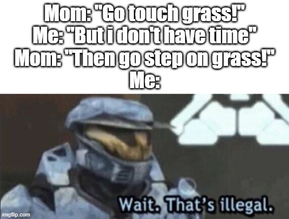 Has this ever happened? | Mom: "Go touch grass!"
Me: "But i don't have time"
Mom: "Then go step on grass!"
Me: | image tagged in wait that s illegal | made w/ Imgflip meme maker