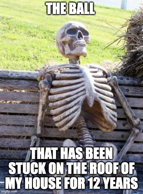 Waiting Skeleton Meme | THE BALL; THAT HAS BEEN STUCK ON THE ROOF OF MY HOUSE FOR 12 YEARS | image tagged in memes,waiting skeleton | made w/ Imgflip meme maker