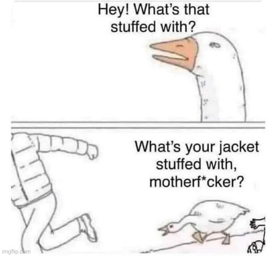wait a minute | image tagged in geese,goose,wait a minute | made w/ Imgflip meme maker