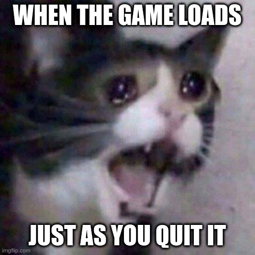 when the game loads just as you exit it | WHEN THE GAME LOADS; JUST AS YOU QUIT IT | image tagged in screaming cat meme,why,whyyyy,whyyyyy | made w/ Imgflip meme maker