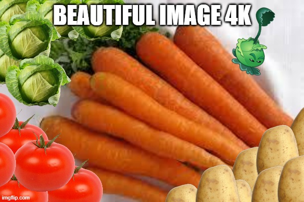 miam... | BEAUTIFUL IMAGE 4K | image tagged in carrots,cabbage,potato,tomato | made w/ Imgflip meme maker