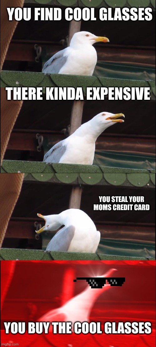 Inhaling Seagull Meme | YOU FIND COOL GLASSES; THERE KINDA EXPENSIVE; YOU STEAL YOUR MOMS CREDIT CARD; YOU BUY THE COOL GLASSES | image tagged in memes,inhaling seagull | made w/ Imgflip meme maker