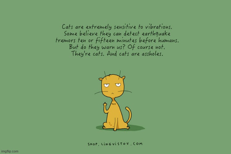 A Cat's Way Of Thinking | image tagged in memes,comics/cartoons,cats,overly sensitive,earthquake,let me know | made w/ Imgflip meme maker