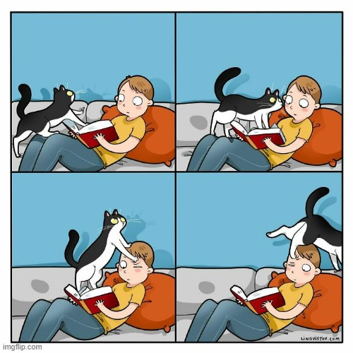 A Cat Guy's Way Of Thinking | image tagged in memes,comics/cartoons,cats,busy,hello there,good bye | made w/ Imgflip meme maker